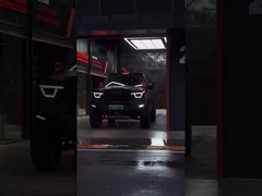 385Nm 185KW 252Ps 4WD 5 Seat 5 Door 2.0T Tank 400 SUV Petrol Fuel New Car