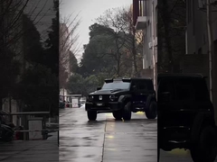 Good Condition New Version 3.0T Tank 300 SUV 4WD Hybrid EV Petrol New Car