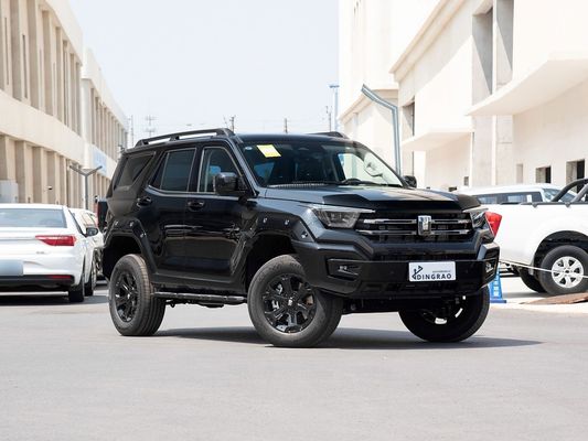 Good Condition New Version Adult Personal High Speed New Energy Hybrid EV Gas New Car