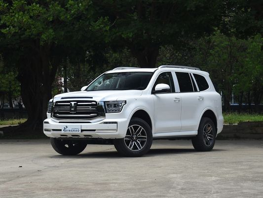 Competitive 5 Seat 5 Door 3.0T Tank 500 SUV 500Nm 265Kw 360Ps 4WD New Energy Hybrid EV Gasoline Petrol Fuel New Car
